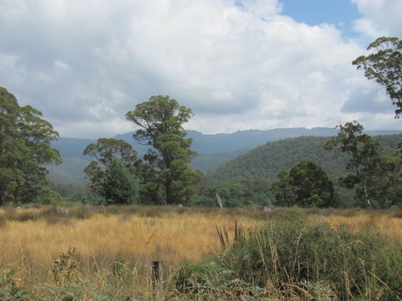 88 Tims Creek Road, Mathinna TAS 7214