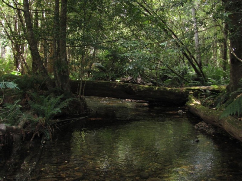 88 Tims Creek Road, Mathinna TAS 7214