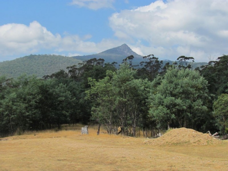 88 Tims Creek Road, Mathinna TAS 7214