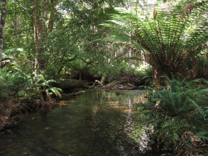 88 Tims Creek Road, Mathinna TAS 7214