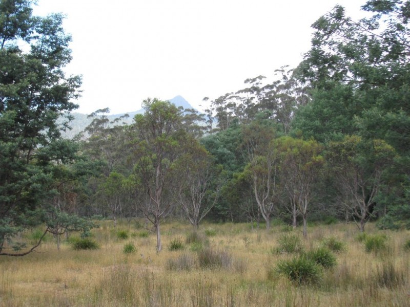 88 Tims Creek Road, Mathinna TAS 7214