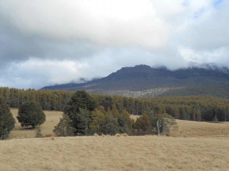 358 Camden Road (via Targa), Tayene TAS 7259