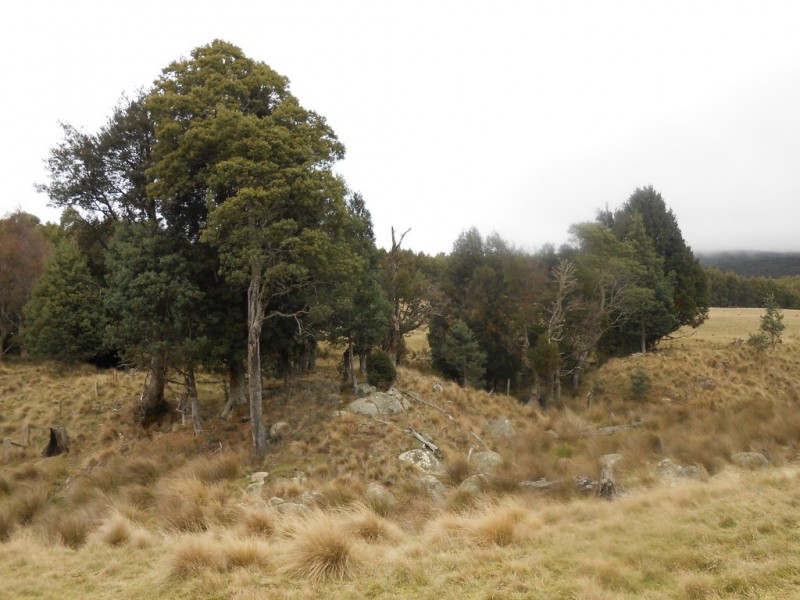 358 Camden Road (via Targa), Tayene TAS 7259