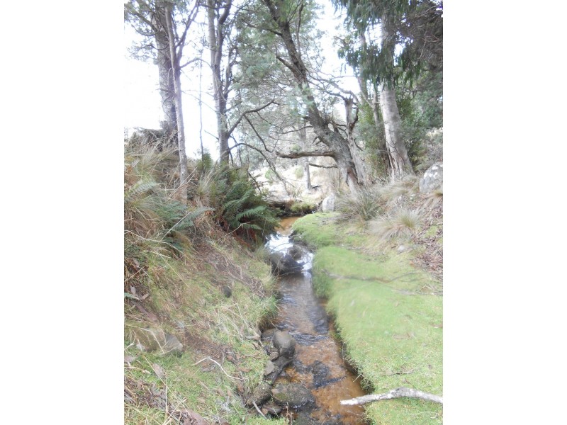 358 Camden Road (via Targa), Tayene TAS 7259