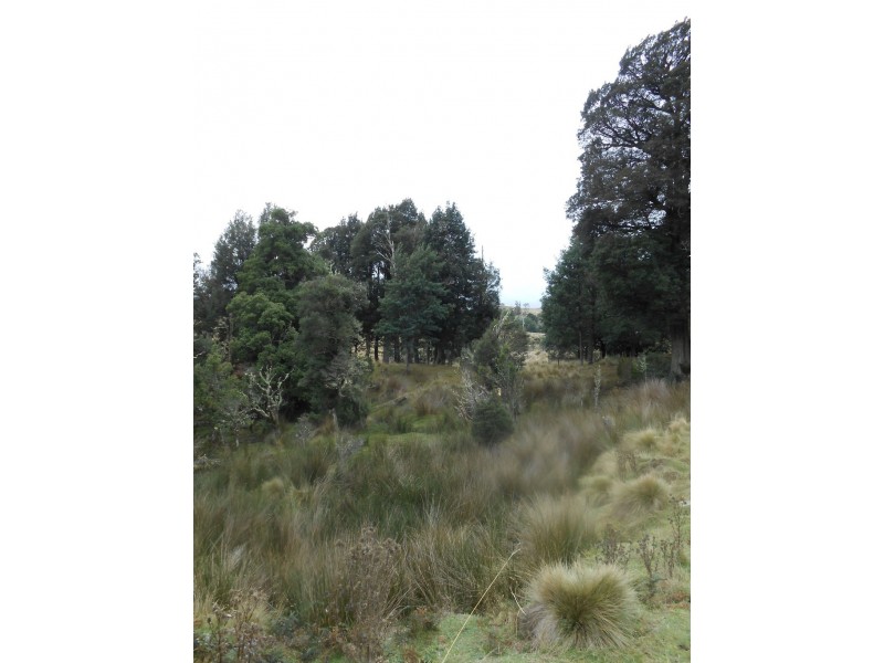 358 Camden Road (via Targa), Tayene TAS 7259