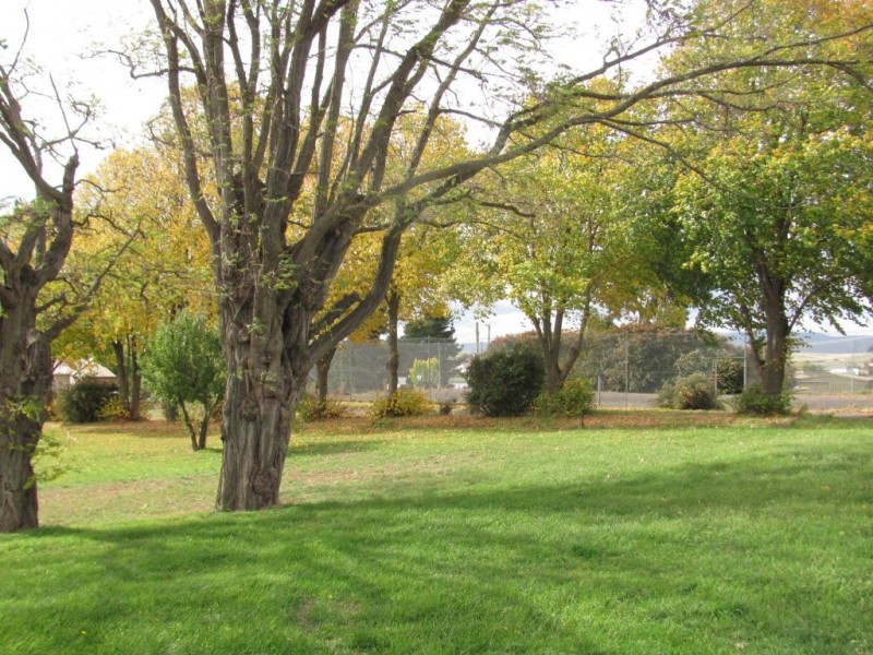 14A Bridge Street, Ross TAS 7209