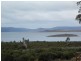 10233 Highland Lakes Road, Brandum TAS 7304