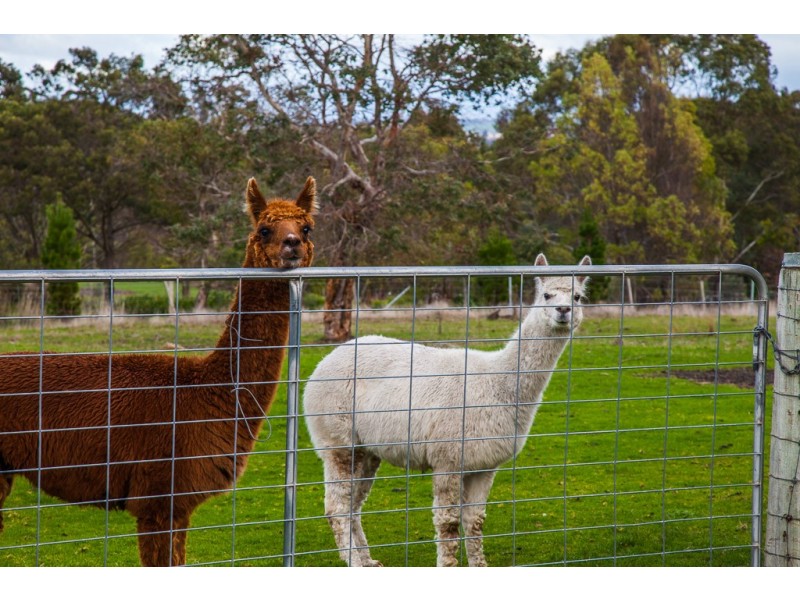 48 Devon Hills Road, Devon Hills TAS 7300