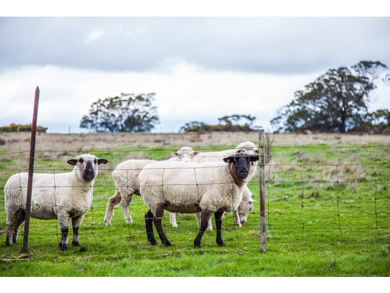 48 Devon Hills Road, Devon Hills TAS 7300