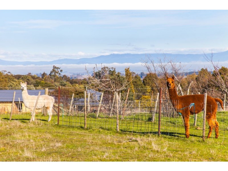 48 Devon Hills Road, Devon Hills TAS 7300