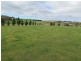 13 Waterloo Street, Ross TAS 7209