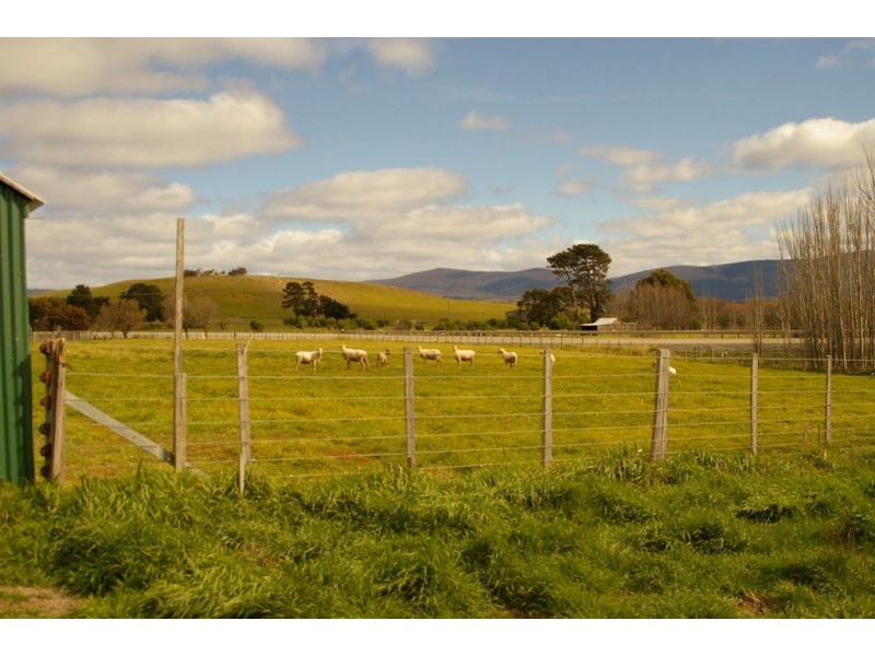 21 Butler St, Tunbridge TAS 7120