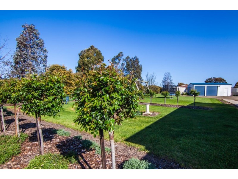 31-35 Pultney Street, Longford TAS 7301
