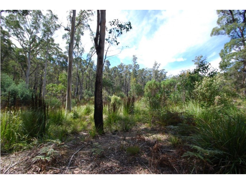 0 Irish Town Road, St Marys TAS 7215