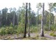 0 Irish Town Road, St Marys TAS 7215