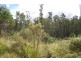 0 Irish Town Road, St Marys TAS 7215