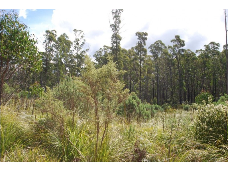 0 Irish Town Road, St Marys TAS 7215