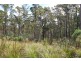 0 Irish Town Road, St Marys TAS 7215