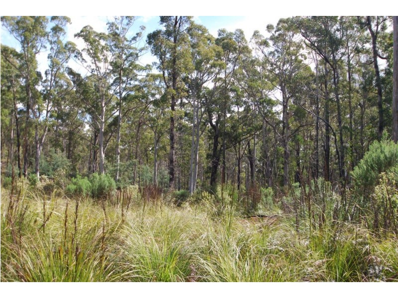 0 Irish Town Road, St Marys TAS 7215