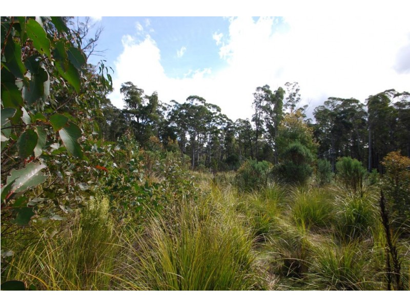 0 Irish Town Road, St Marys TAS 7215
