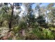 0 Irish Town Road, St Marys TAS 7215