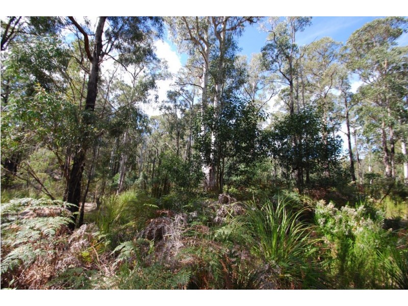 0 Irish Town Road, St Marys TAS 7215