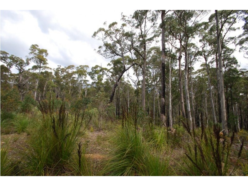 0 Irish Town Road, St Marys TAS 7215