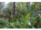 0 Irish Town Road, St Marys TAS 7215