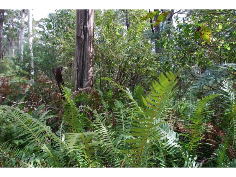0 Irish Town Road, St Marys TAS 7215