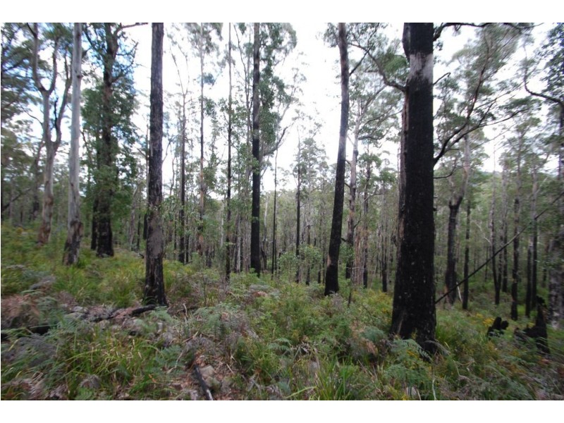 0 Irish Town Road, St Marys TAS 7215