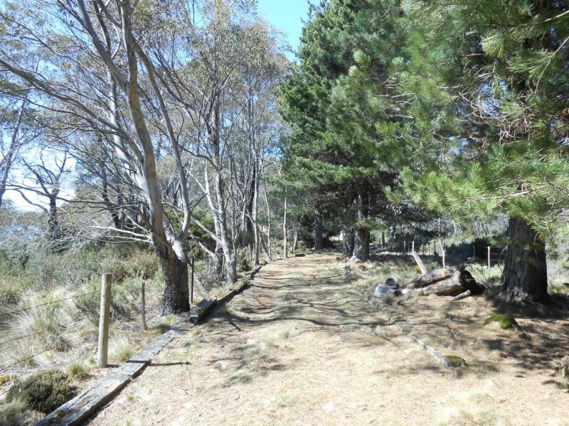 Lot 1 Highland Lakes Road, Breona TAS 7304