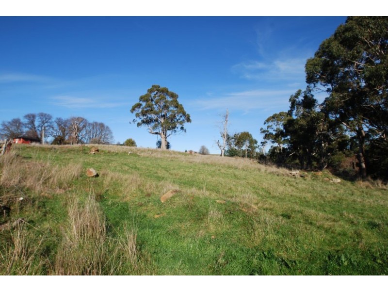 3 Church Street, Carrick TAS 7291