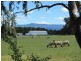 19 Charles Street, Cressy TAS 7302