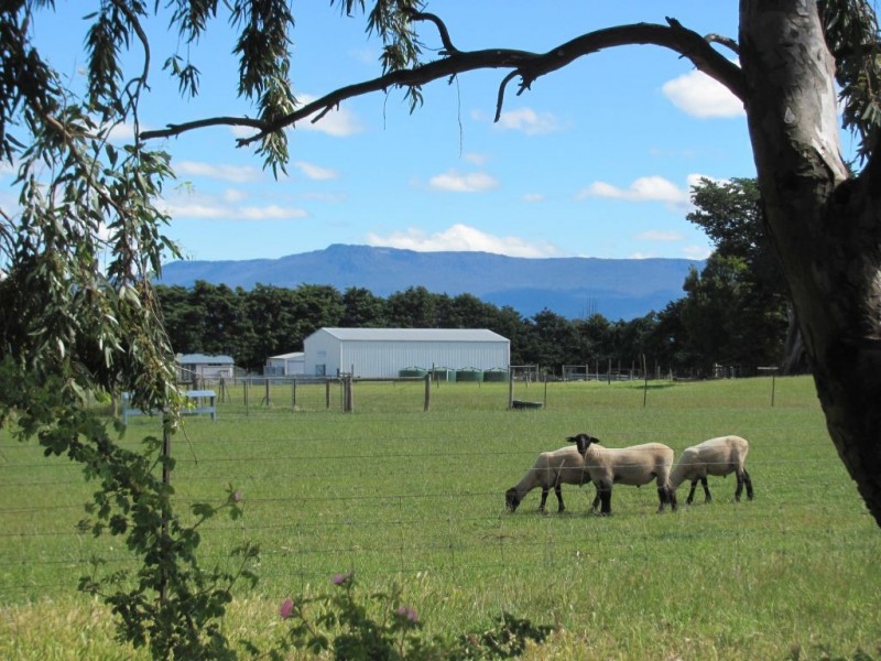 19 Charles Street, Cressy TAS 7302