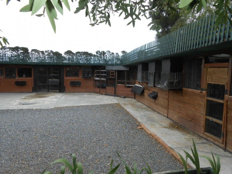 55 Frederick Street, Perth TAS 7300