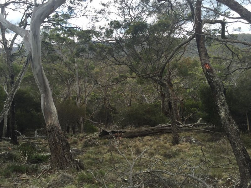 Lot 3 Distillery Track, Nunamara TAS 7259