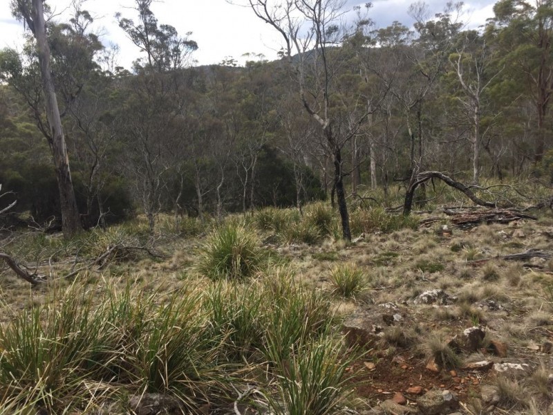 Lot 3 Distillery Track, Nunamara TAS 7259