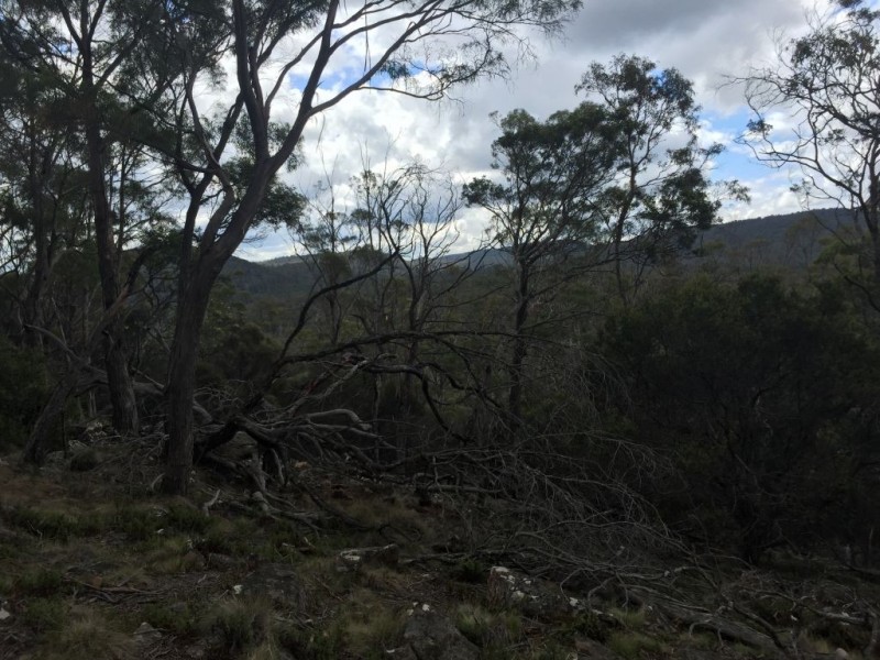 Lot 3 Distillery Track, Nunamara TAS 7259