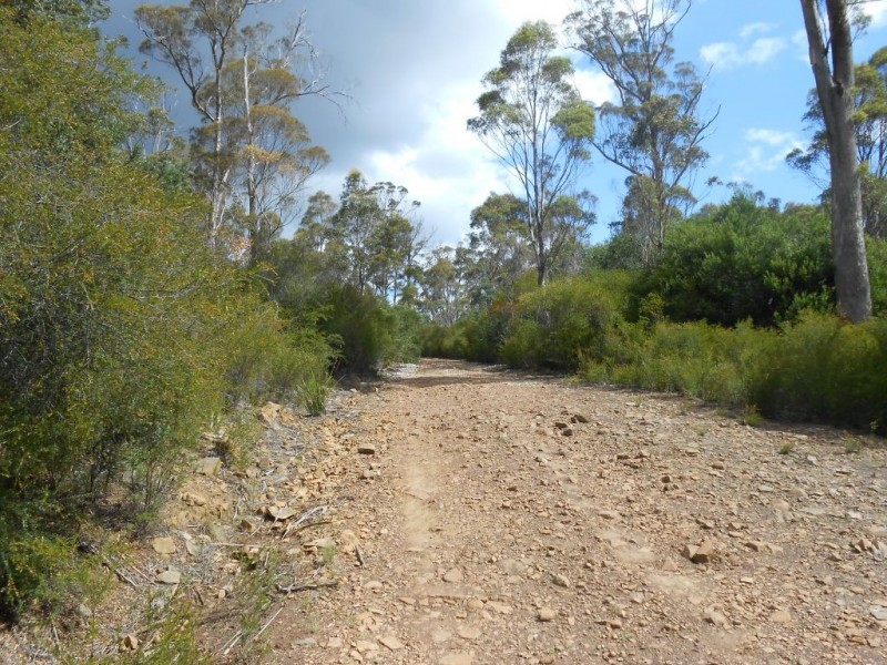 Lot 3 Distillery Track, Nunamara TAS 7259