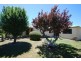 5 Bond Street, Ross TAS 7209
