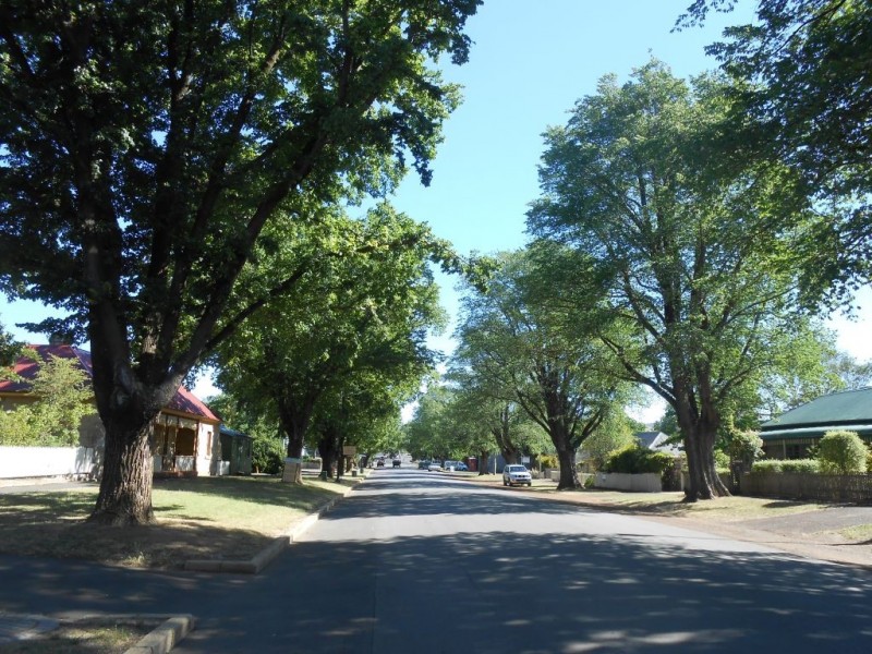 19 Church Street, Ross TAS 7209