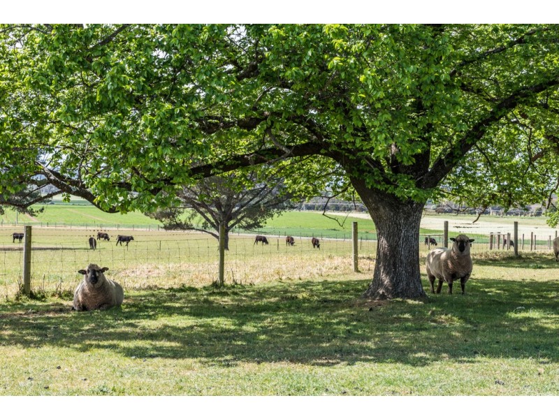 1243 Illawarra Road, Carrick TAS 7291