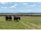 1243 Illawarra Road, Carrick TAS 7291