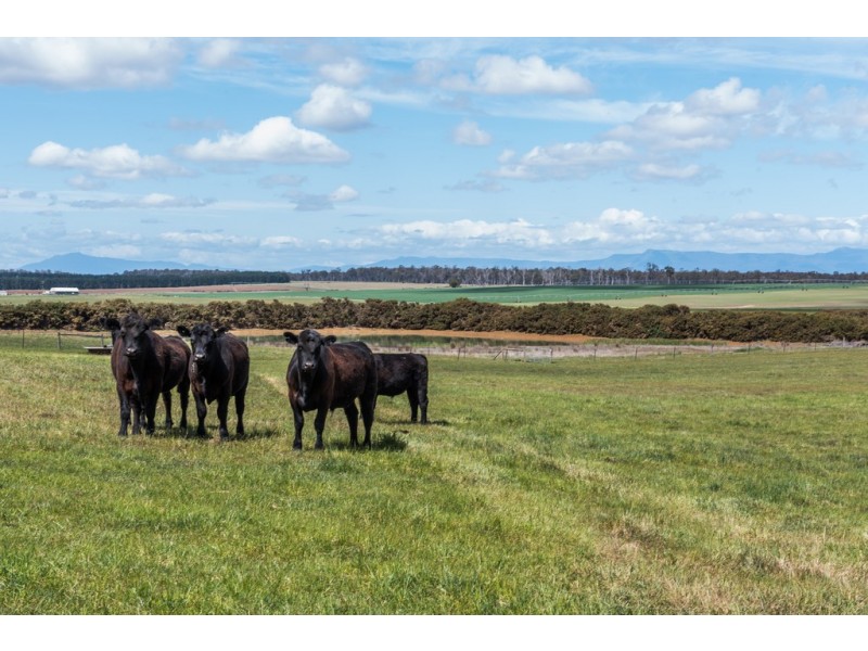 1243 Illawarra Road, Carrick TAS 7291