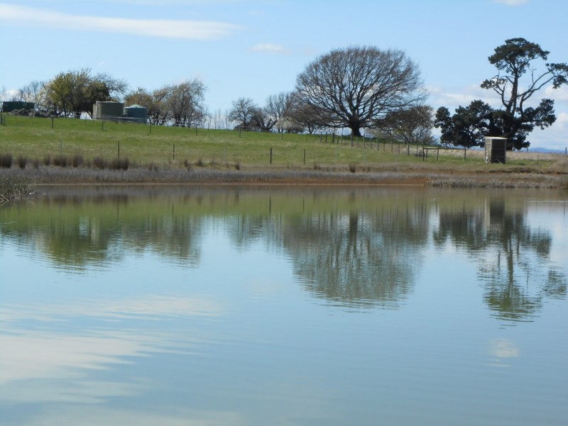 1243 Illawarra Road, Carrick TAS 7291