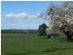 1243 Illawarra Road, Carrick TAS 7291