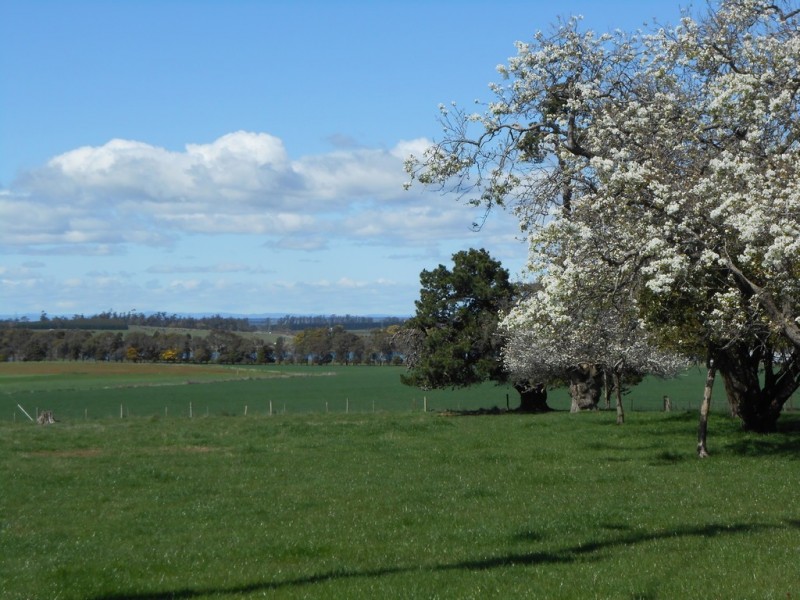 1243 Illawarra Road, Carrick TAS 7291
