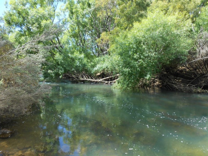 465 Eastfield Road, Cressy TAS 7302