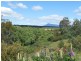 465 Eastfield Road, Cressy TAS 7302