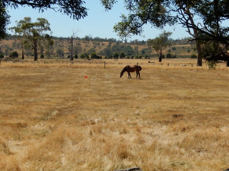 294 Bracknell Road, Bracknell TAS 7302